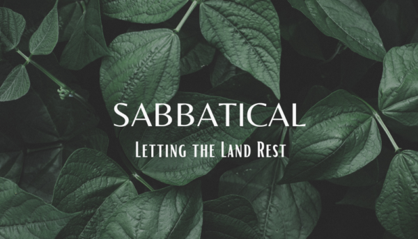 Sabbatical - Letting the Land Rest Image